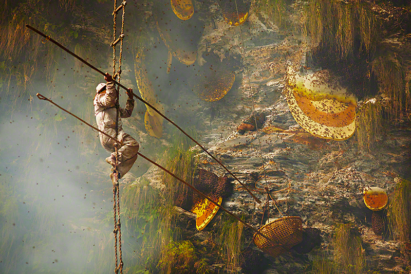 Illustration for article titled The Most Amazing Science Images Of 2014
